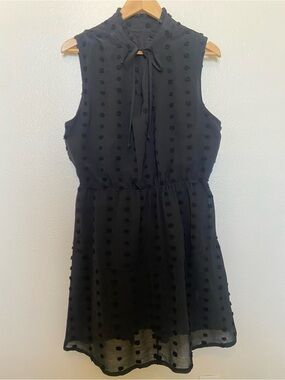 Source Unknown Black Sleeveless Swiss Dot Tie-Neck Dress